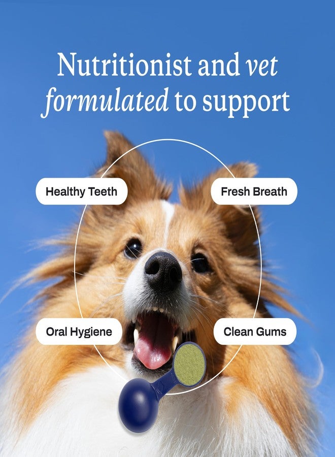 PetLab Co. ProBright Dental Powder - Dog Breath Freshener - Teeth Cleaning Made Easy - Targets Tartar & Bad Breath - Formulated for Extra Small Dogs - Packaging May Vary - Image 5