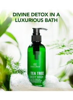 Botanic Hearth Botanic Hearth Tea Tree Body Wash with Sea Buckthorn Oil Peppermint Oil Detoxifies and Rejuvenates Long Lasting Fragrance Sulphate and Paraben Free Shower Gel for Men and Women 245ml  - Image 3