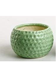 Caffeine Caffeine Ceramic Handmade Green Golf Ball Influenced Artistic Flower Vase (1 Pc) 
