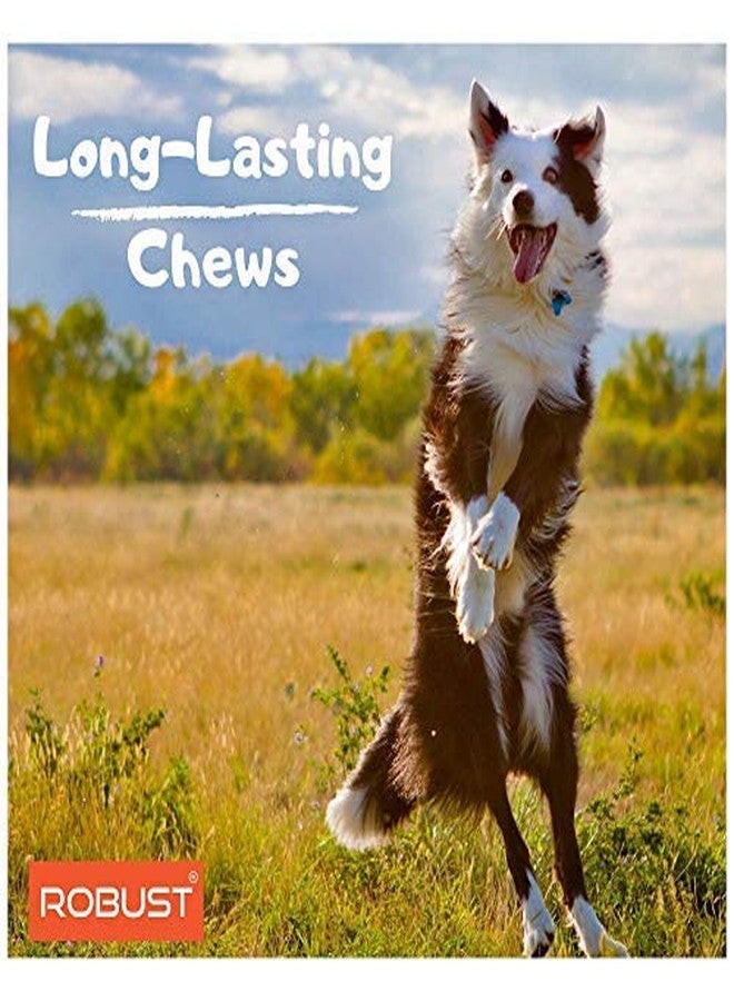 Robust Long Lasting All-Natural Dog Chew Bones - 8 inches (4 Units) | Premium Compressed Rawhide Chews for Small, Medium & Large Dogs | Healthy & Digestible Rawhide Bones to Improve Oral Health - Image 4