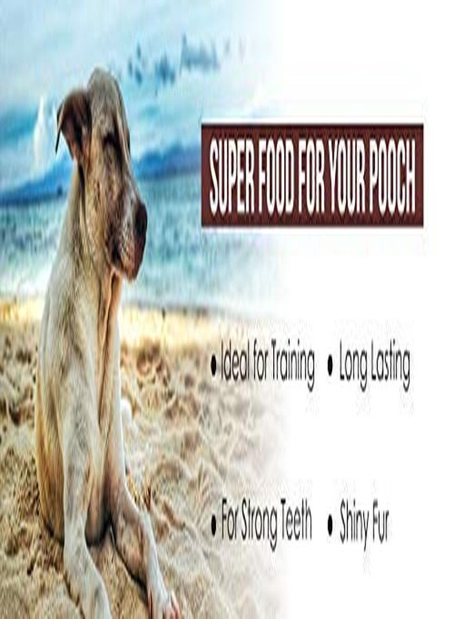 Robust Long Lasting All-Natural Dog Chew Bones - 8 inches (4 Units) | Premium Compressed Rawhide Chews for Small, Medium & Large Dogs | Healthy & Digestible Rawhide Bones to Improve Oral Health - Image 5