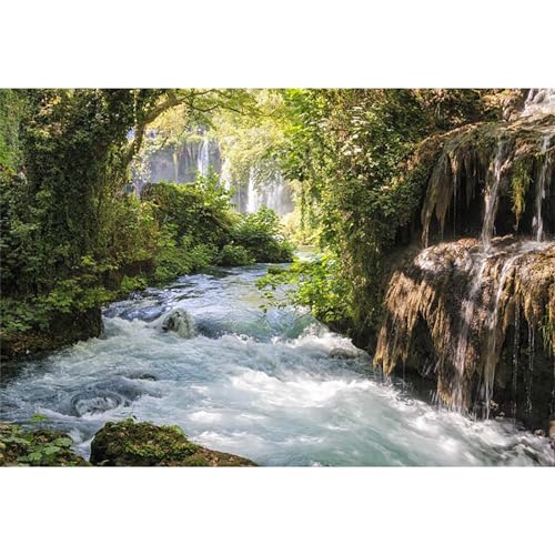 باوسيكو 10x7 قدم خلفيات فينيل غابة خضراء للتصوير خلفية جبل ومنظر مائي شلال جميل ونهر شجرة قديمة استكشاف في الهواء الطلق خلفية عطلة استوديو الصور