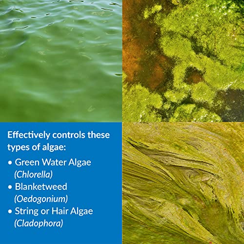 API POND ALGAEFIX Algae Control 1-Gallon Bottle - Image 2