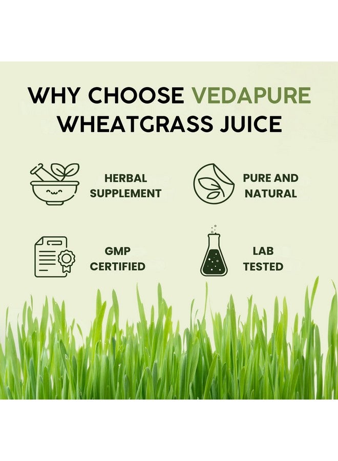 VEDAPURE عصير القمح الطبيعي VEDAPURE لتعزيز المناعة، البشرة، عصير الأيورفيدا للتخلص من السموم، عالي الكلوروفيل، بدون سكر مضاف ونكهات 1000 مل (عبوة من 2) - Image 3