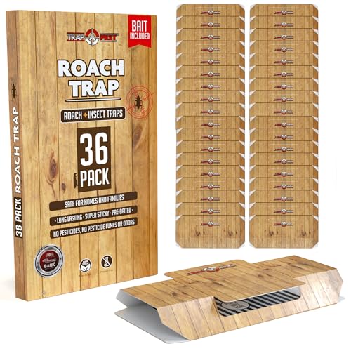 TRAP A PEST Roach Traps Indoor Sticky (36 Pack) - Glue Traps for Roaches Bug Traps with Roach Bait Traps - Long Lasting Non-Toxic Children and Pet Friendly - Trap a Pest - Image 1