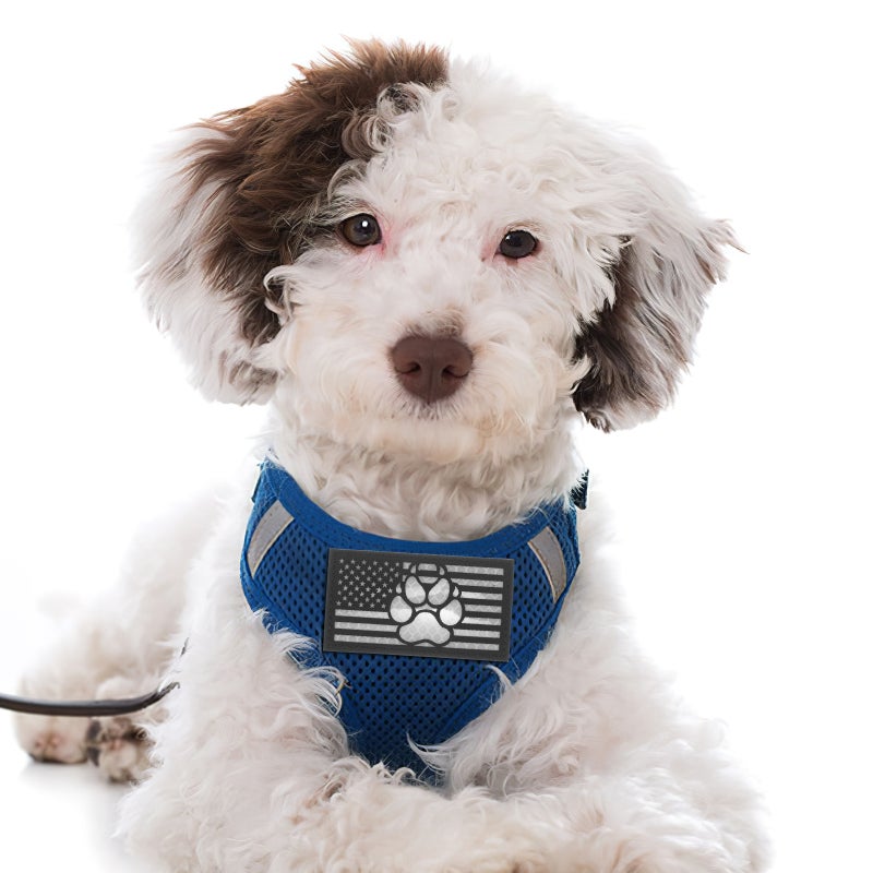 Dog Training Patch Embroidered Dog Vest Patch Nylon Dog Applique for Vest Leash - Image 4