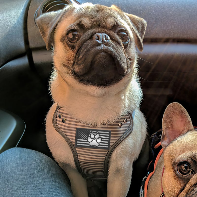 Dog Training Patch Embroidered Dog Vest Patch Nylon Dog Applique for Vest Leash - Image 2