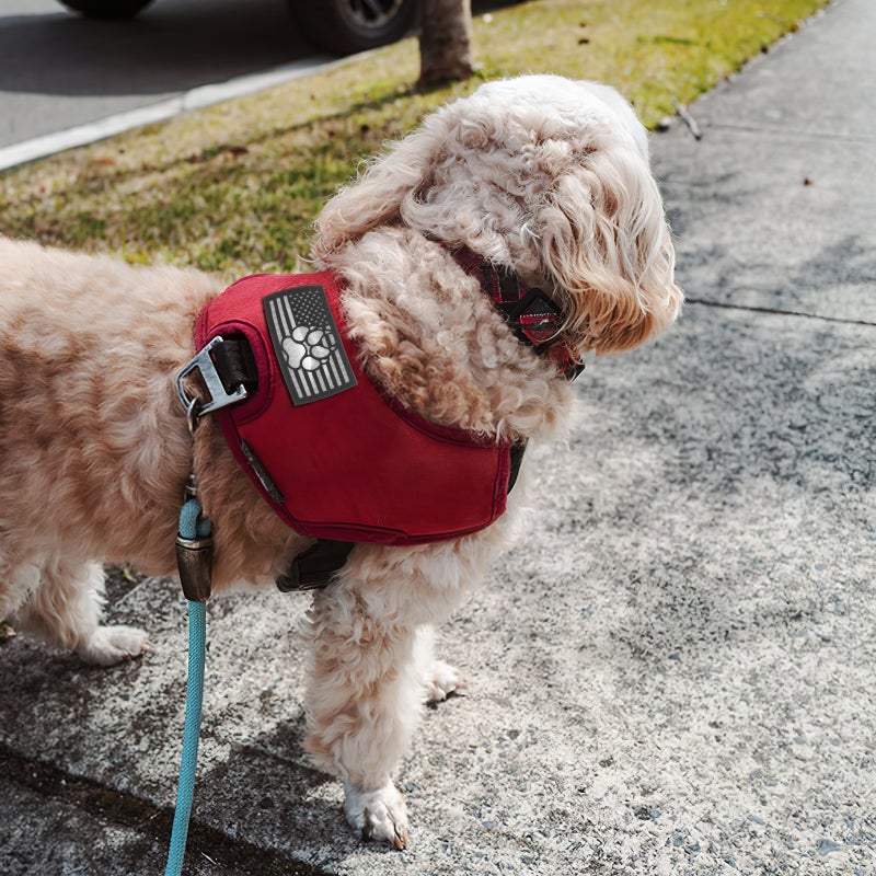 Dog Training Patch Embroidered Dog Vest Patch Nylon Dog Applique for Vest Leash - Image 5