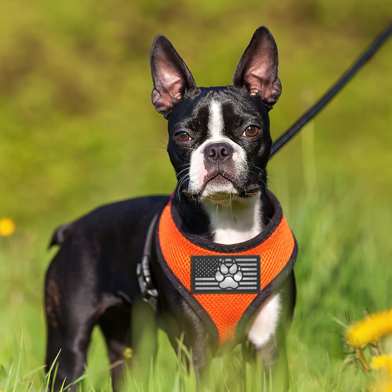Dog Training Patch Embroidered Dog Vest Patch Nylon Dog Applique for Vest Leash - Image 3