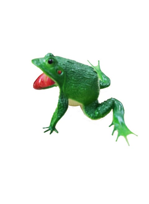 Dhinchak rubber Art box rubber frog make choo-choo noise, Multicolour