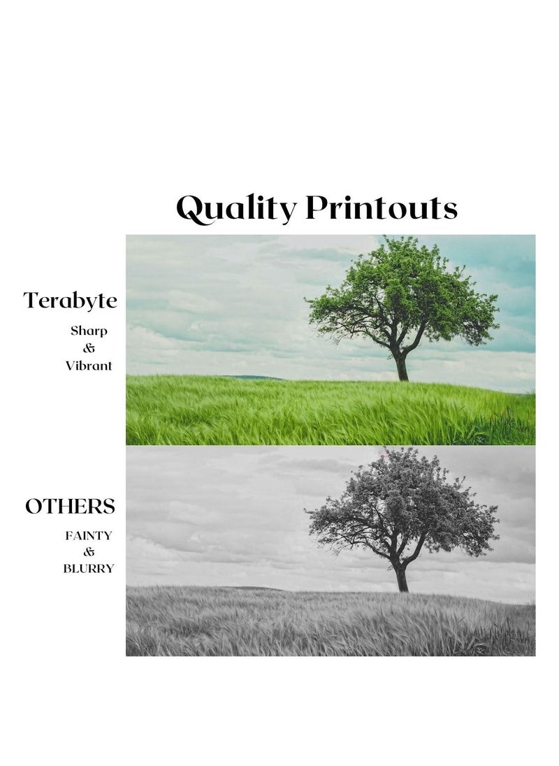 Terabyte ML1610/ML2010  COMPATIBLE TONER TERABYTE  - Image 4