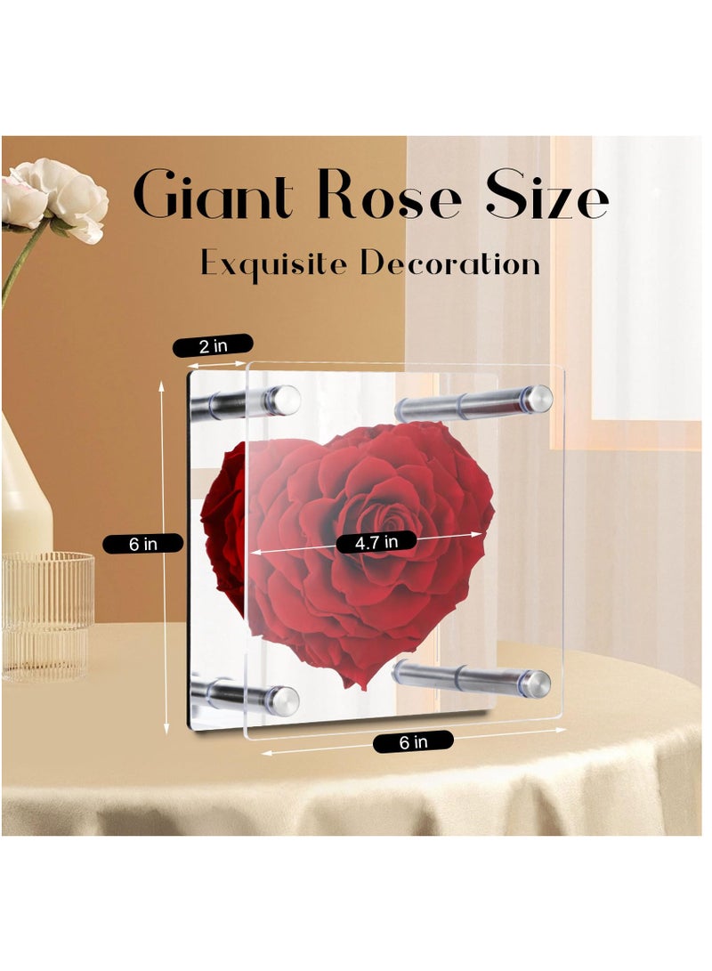 Excefore Forever Heart Shape Rose 4.7in Real Eternal Rose Box Fully Handmade, Forever Flower, Valentines Day Gifts for Her, Wife, Girlfriend, Woman, Romantic Gift for Her, Birthday, Anniversary, Red - Image 3