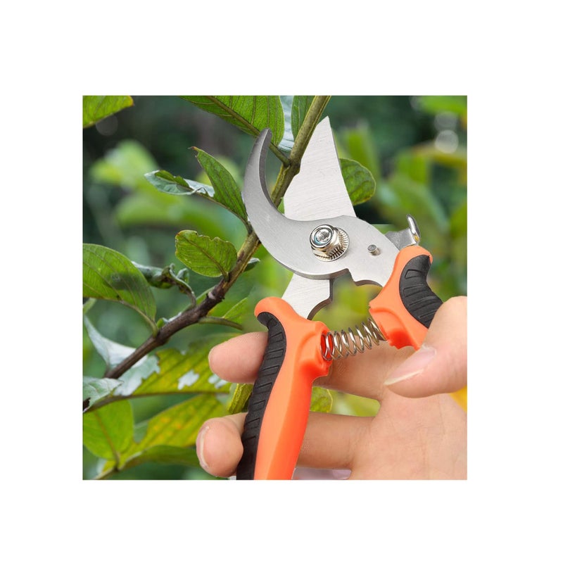 Barakah مقص تقليم، مقص يدوي منحني لحديقة، مقصات حديقة من الفولاذ المقاوم للصدأ، مقصات تقليم احترافية بمقابض مزودة بنابض، للنباتات، والأسوار، والزهور - Image 2