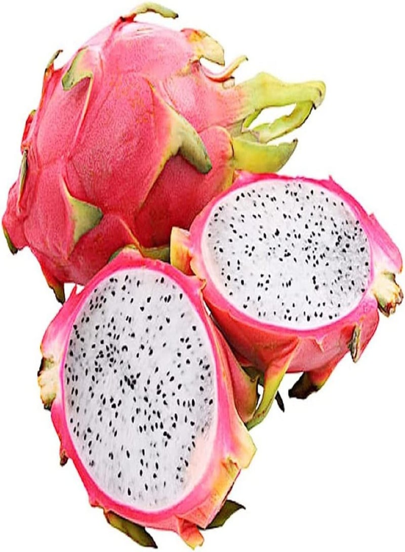 GGOOT 100pcs Pitaya Seeds Dragon Fruit Unique Variety Fruity Mellow Beautiful Rich in Color Becoming Charming Scenery at Home Convenient Storage - Image 1