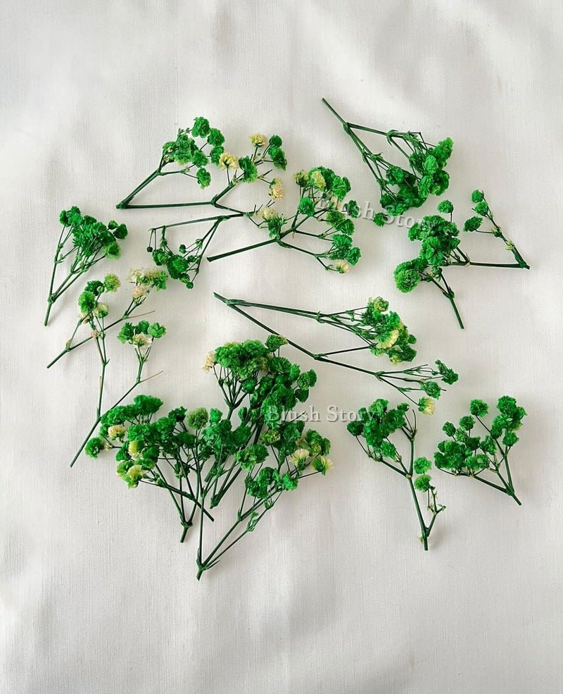 Blush Story Blush Story Baby BreathGypsy Dried Artificial Flower Sticks for Women Wedding Bridal Hair Accessories Gypsy Flower Sticks Artificial Flowers for Womens Wedding Bridal Home Decoration Green  - Image 3