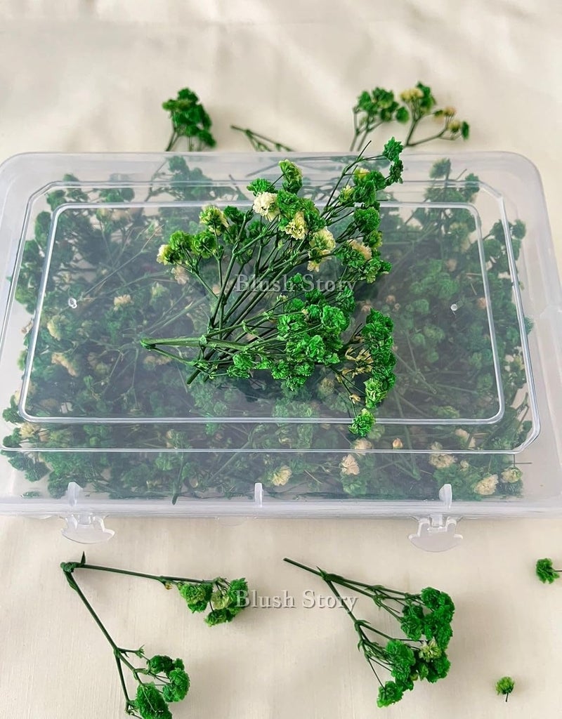 Blush Story Blush Story Baby BreathGypsy Dried Artificial Flower Sticks for Women Wedding Bridal Hair Accessories Gypsy Flower Sticks Artificial Flowers for Womens Wedding Bridal Home Decoration Green  - Image 2