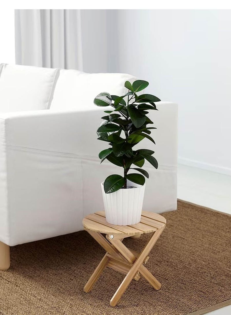 سي او أرماء حامل نباتات خشبي قابل للطي  32*29 سم - Image 2