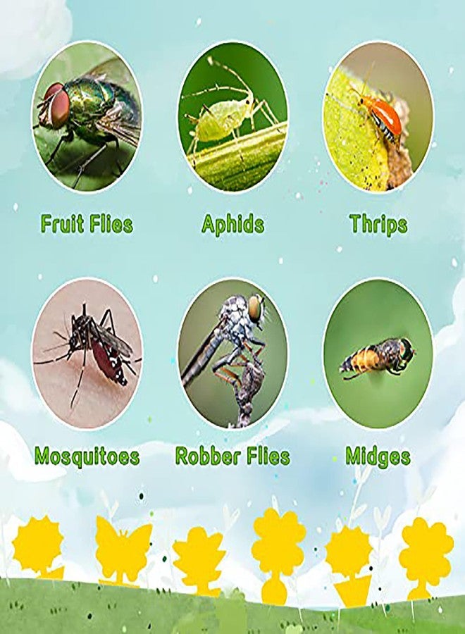 Mosqueda 72PCS Fruit Fly Sticky Traps Fungus Gnat Traps Insect Trap for Plants Kitchen Indoor Outdoor White Flies Mosquitos Fungus Gnats Flying Insects Houseplant Gifts - Image 3