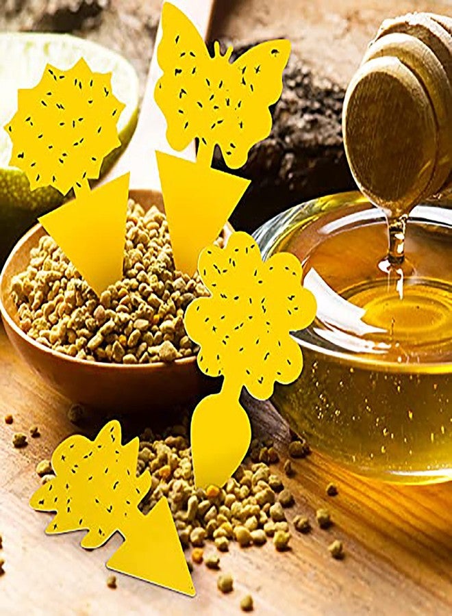 Mosqueda 72PCS Fruit Fly Sticky Traps Fungus Gnat Traps Insect Trap for Plants Kitchen Indoor Outdoor White Flies Mosquitos Fungus Gnats Flying Insects Houseplant Gifts - Image 4