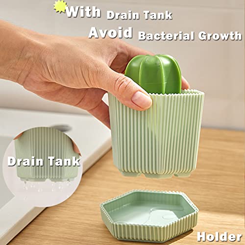 Sirensky Cactus Mini Dish Brush Set with Drip Tray (3 Replacement Brushes), Durable Kitchen Cleaning Scrubbers for Plates, Pans, Pots, Sink (Green) - Image 2