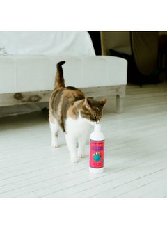 earthbath 2-In-1 Conditioning Cat Shampoo - Extra Gentle Conditioning Formula, Ph-Balanced, Neutralizes Odours, Hydrates Skin & Coat, Aloe Vera, Light Wild Cherry, Pint - 472Ml  - Image 4