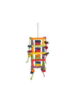 Prevue Bodacious Bites Blockhead Bird Toy - Multicolor