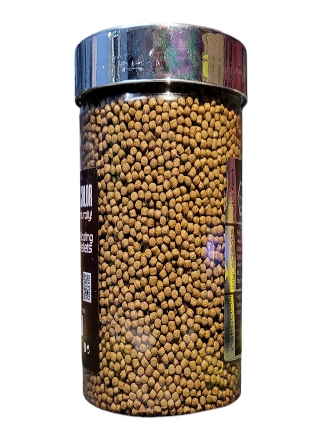 WA Red Melano Color Enhancing Fish Food | Floating Pellets | Natural Color Enhancer | Easy Digestion & Balanced Nutrition | Aquawiz India (500ml (220gm)) - Image 4
