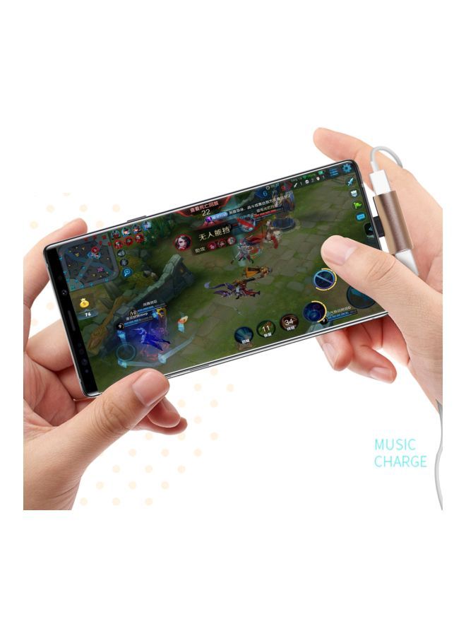 NIBEMINENT 2-In-1 Type-C Adapter Gold - Image 4