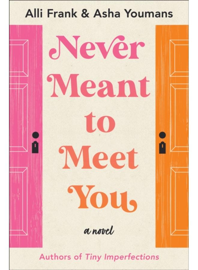 Never Meant to Meet You : A Novel