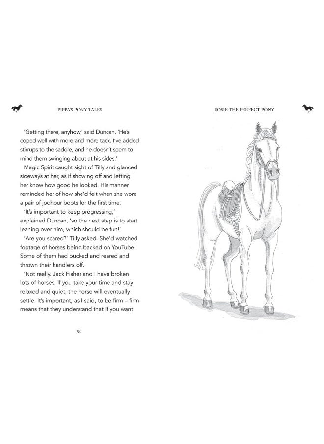 null - Rosie the Perfect Pony - Image 1