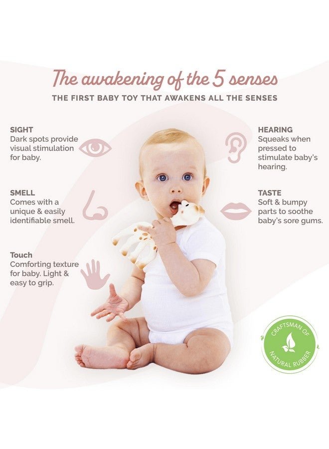 صوفي لا جيراف صوفي الزرافة، لمسة منعشة | مصنوعة يدويًا في فرنسا منذ 60 عامًا | مطاط طبيعي | مصممة للأطفال في مرحلة التسنين | تُنشّط الحواس الخمس | سهلة التنظيف - Image 1