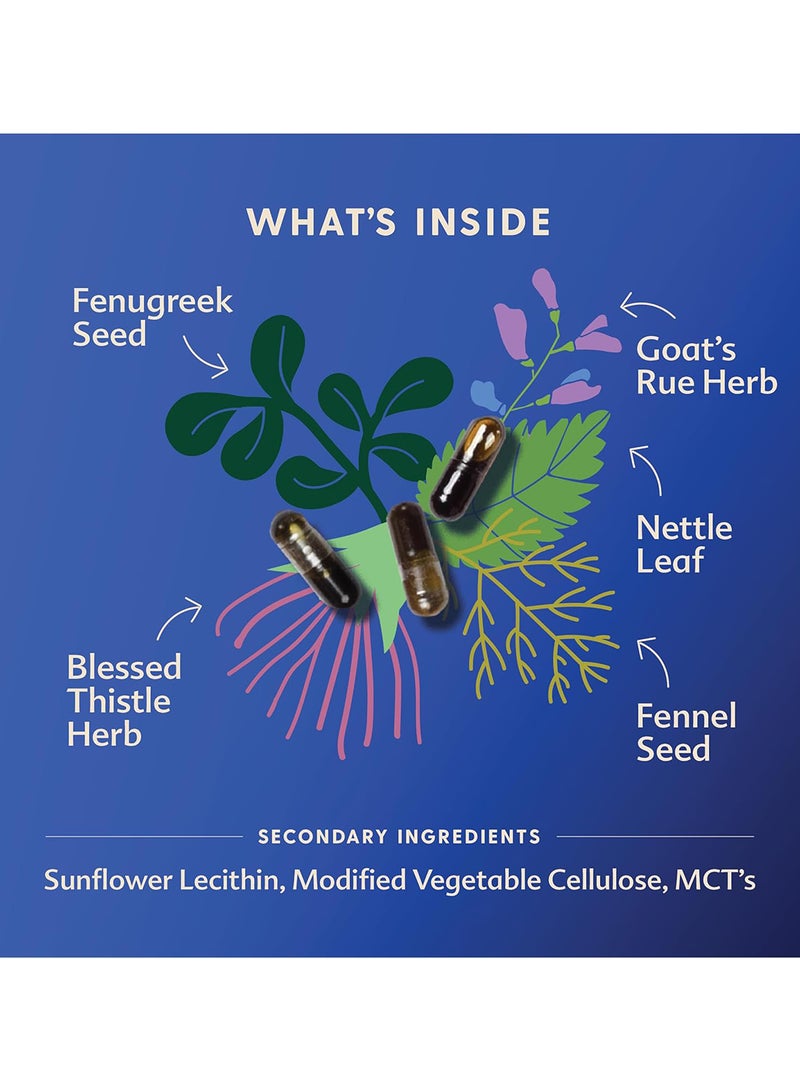 Motherlove More Milk Special Blend Herbal Breastfeeding Supplement With Goat'S Rue 120 Ct.  - Image 4