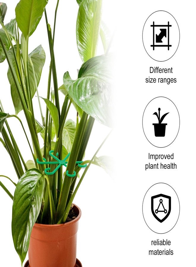 PEUTIER Pack of 4 Plant Supports, Plastic Handle Holder for Plant Climbers, Reusable Plant Trunk Hook, Plant Trunk Support for Plants (Green) - Image 5