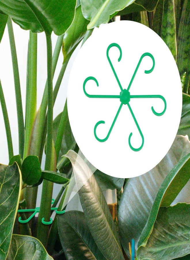 PEUTIER Pack of 4 Plant Supports, Plastic Handle Holder for Plant Climbers, Reusable Plant Trunk Hook, Plant Trunk Support for Plants (Green) - Image 4