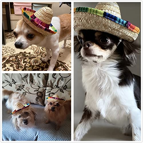 BTYMS 8 Pieces Mini Sombrero Party Hats Fiesta Party Decorations Party Supplies Sombrero Costume Hats for Table, Dolls, Dogs- 5.9 Inch - Image 2