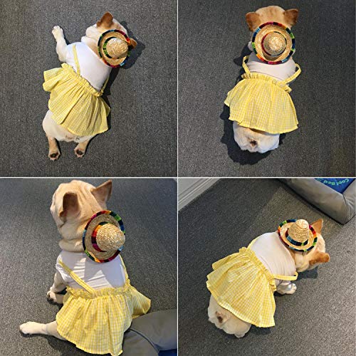 BTYMS 8 Pieces Mini Sombrero Party Hats Fiesta Party Decorations Party Supplies Sombrero Costume Hats for Table, Dolls, Dogs- 5.9 Inch - Image 4