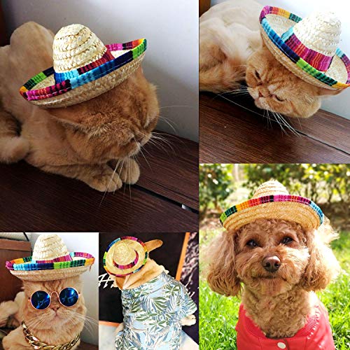 BTYMS 8 Pieces Mini Sombrero Party Hats Fiesta Party Decorations Party Supplies Sombrero Costume Hats for Table, Dolls, Dogs- 5.9 Inch - Image 3