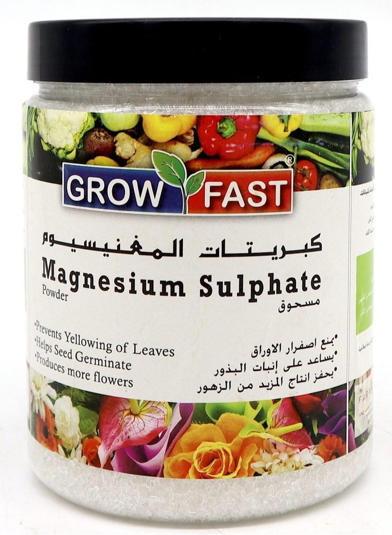 تنمو بسرعة ملح إبسوم (كبريتات المغنيسيوم) 1 كجم لنمو النباتات ومغذيات النباتات - Image 1