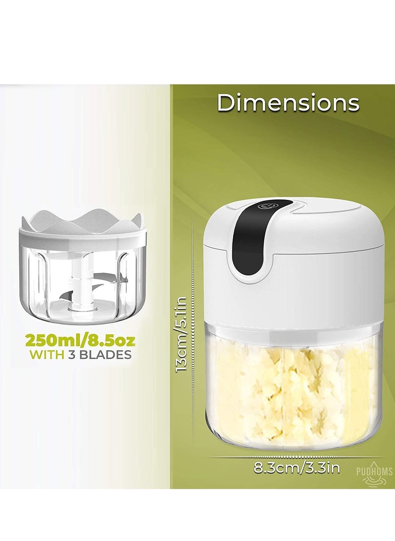 Generic Electric Chopper Mini Food Processor for Vegetables, Fruits, Nuts, Meats, and Puree - 3 Stainless Steel Blades & Whisk for Blending, Slicing, Whisking  - Image 2
