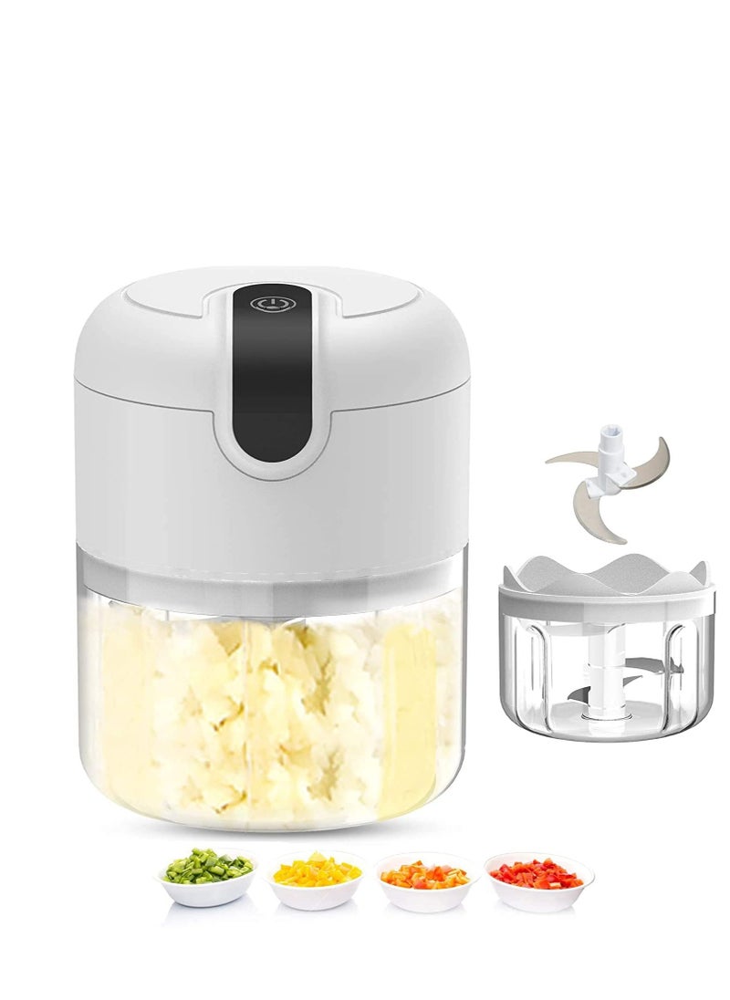Generic Electric Chopper Mini Food Processor for Vegetables, Fruits, Nuts, Meats, and Puree - 3 Stainless Steel Blades & Whisk for Blending, Slicing, Whisking  - Image 1