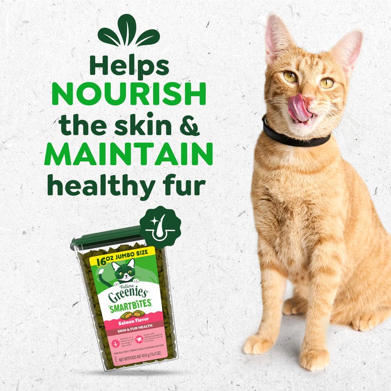 Greenies Cat Treats, Feline Smartbites, Skin & Fur Health, Crunchy and Soft Cat Treats, Salmon Flavor, 16 oz. Tub - Image 2