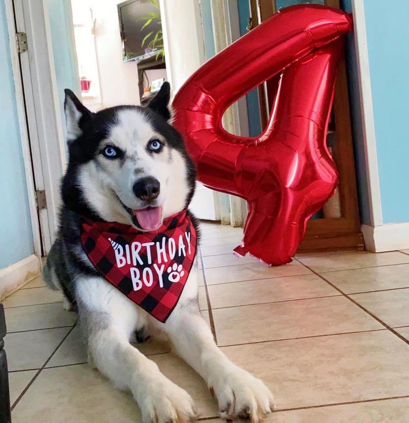 Mluchee Balloon Numbers 40 Inch 5 Ballon for 5th Birthday Decorations, 15 25 35 50 Big Red Number Balloons for Wedding Photo Shoot Party Decor - Image 4