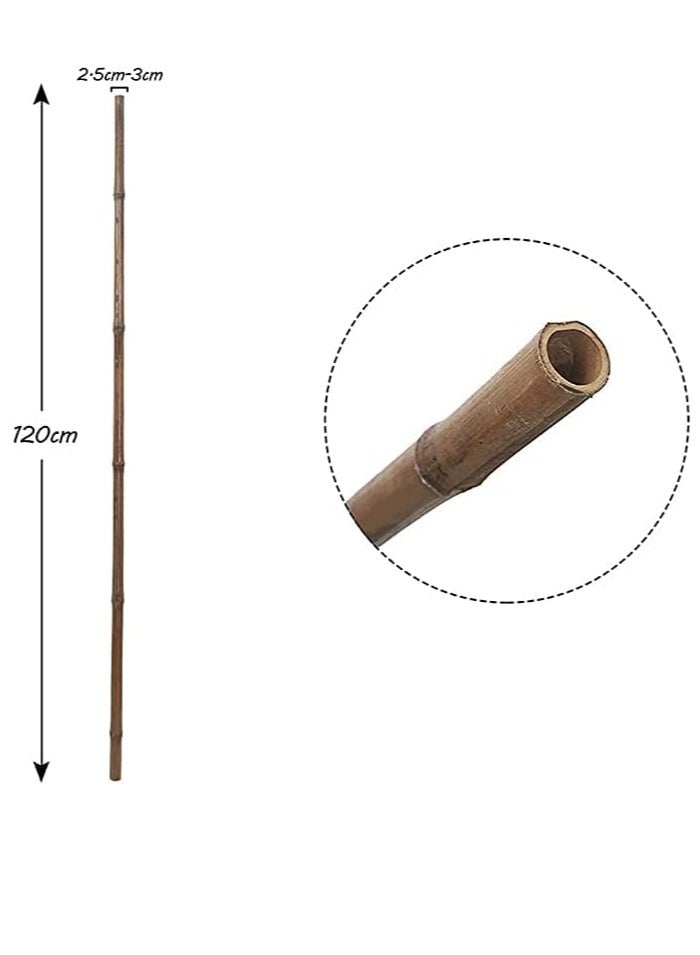 HOME TASTE Bamboo Plant Stakes 120Cm - 10pcs Natural Garden Big Bamboo Long Sticks Plant Support Stakes for for Indoor and Outdoor Plants  - Image 2