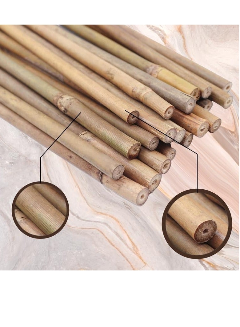 HOME TASTE Bamboo Plant Stakes 120Cm - 10pcs Natural Garden Big Bamboo Long Sticks Plant Support Stakes for for Indoor and Outdoor Plants  - Image 4