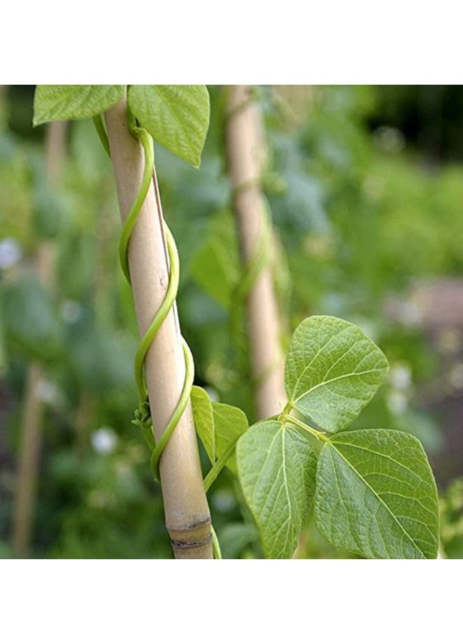 HOME TASTE Bamboo Plant Stakes 120Cm - 10pcs Natural Garden Big Bamboo Long Sticks Plant Support Stakes for for Indoor and Outdoor Plants  - Image 5