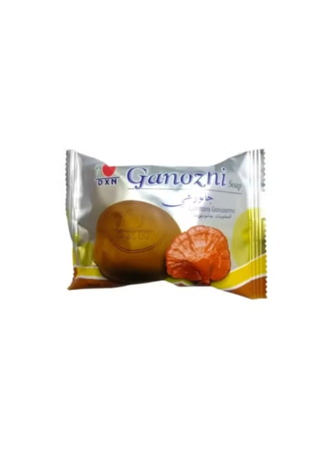 DXN Ganozhi Soap 80 g