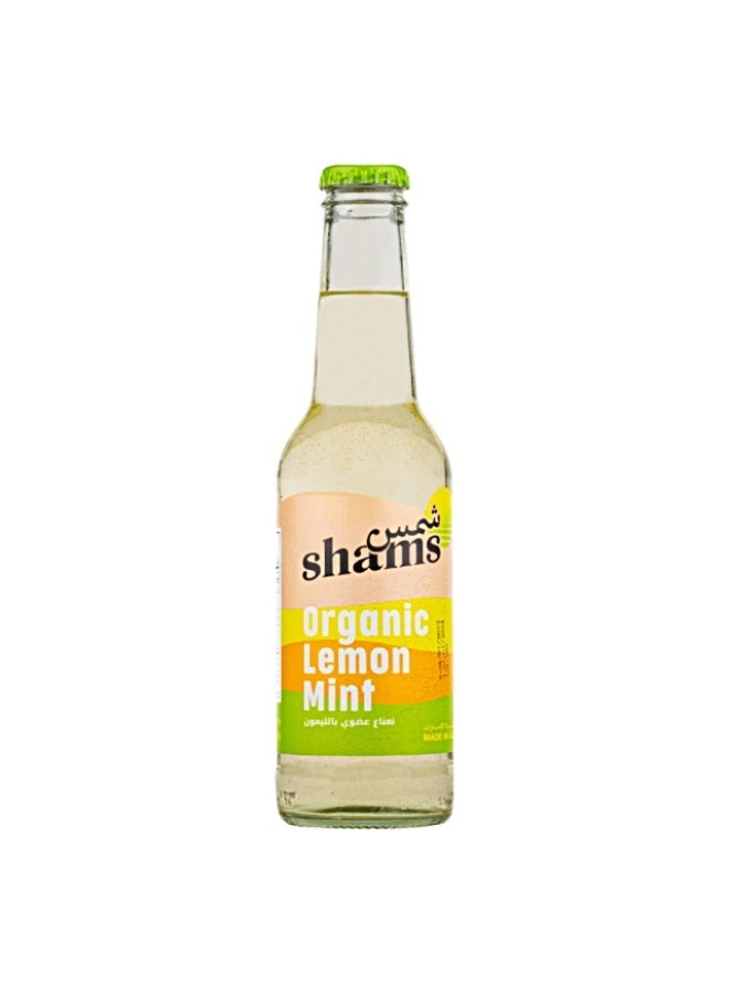 Soda, Lemon Mint - 275ml, UAE