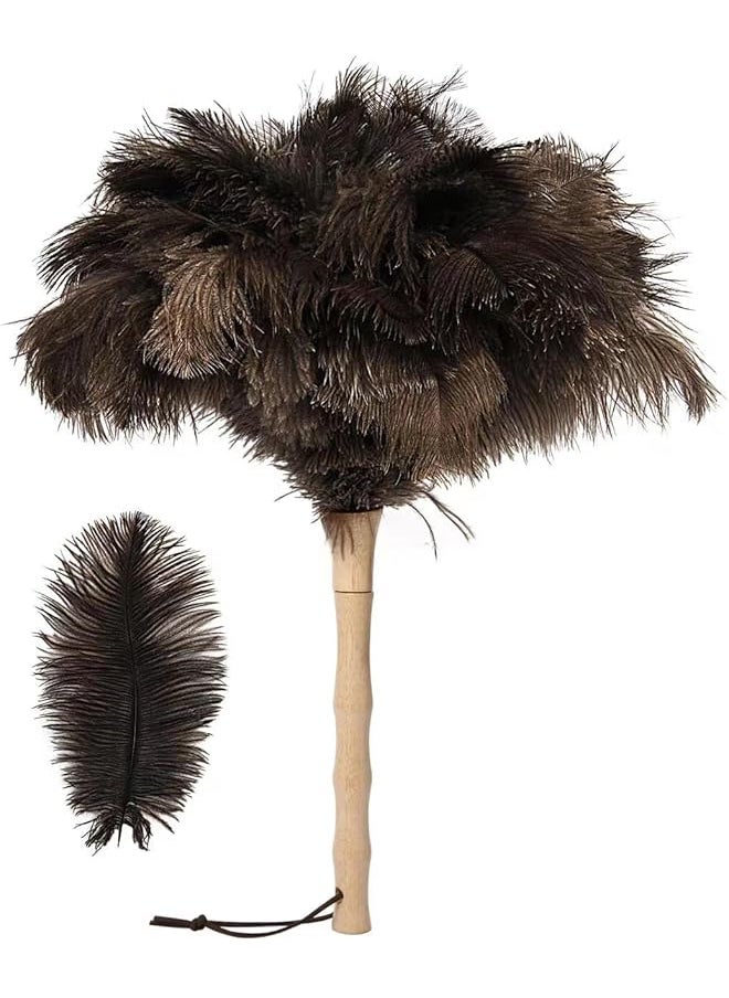 PROMASS - promass Ostrich Feather Duster, 16 inch Fluffy Natural Genuine Ostrich Feathers with Wooden Handle and Eco-Friendly Reusable Handheld Ostrich Feather Duster for Cleaning Supplies - Image 1