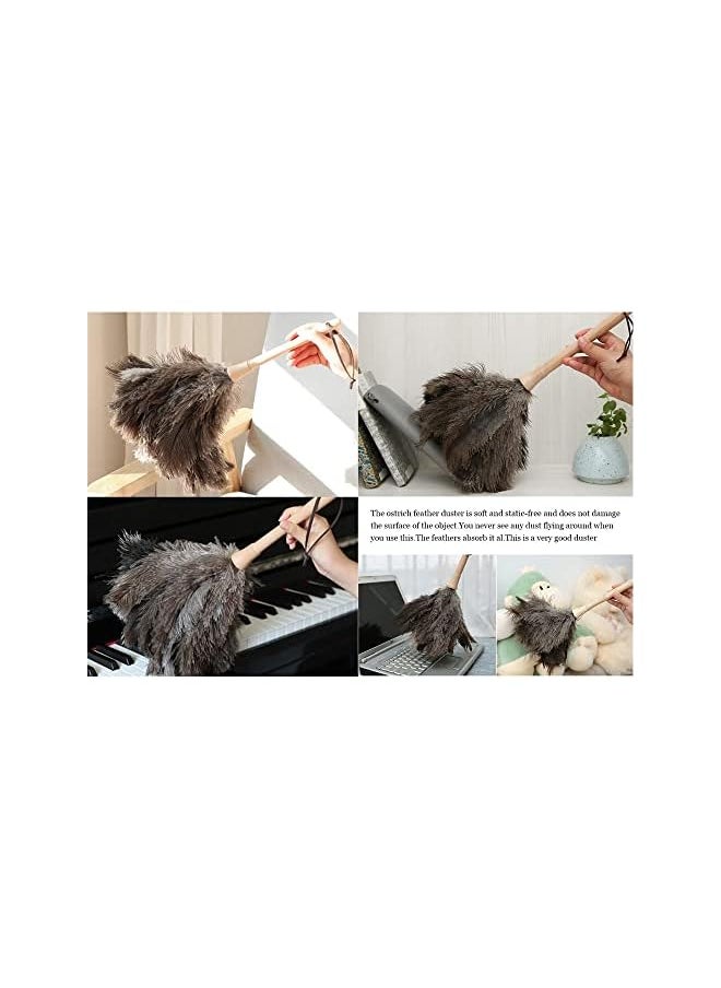 PROMASS - promass Ostrich Feather Duster, 16 inch Fluffy Natural Genuine Ostrich Feathers with Wooden Handle and Eco-Friendly Reusable Handheld Ostrich Feather Duster for Cleaning Supplies - Image 1