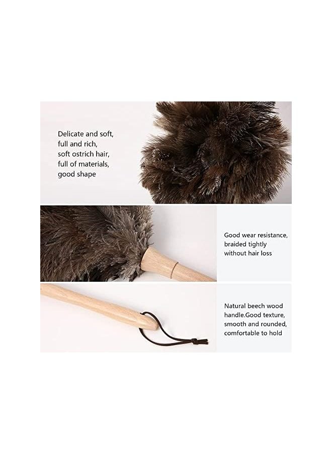 PROMASS - promass Ostrich Feather Duster, 16 inch Fluffy Natural Genuine Ostrich Feathers with Wooden Handle and Eco-Friendly Reusable Handheld Ostrich Feather Duster for Cleaning Supplies - Image 1